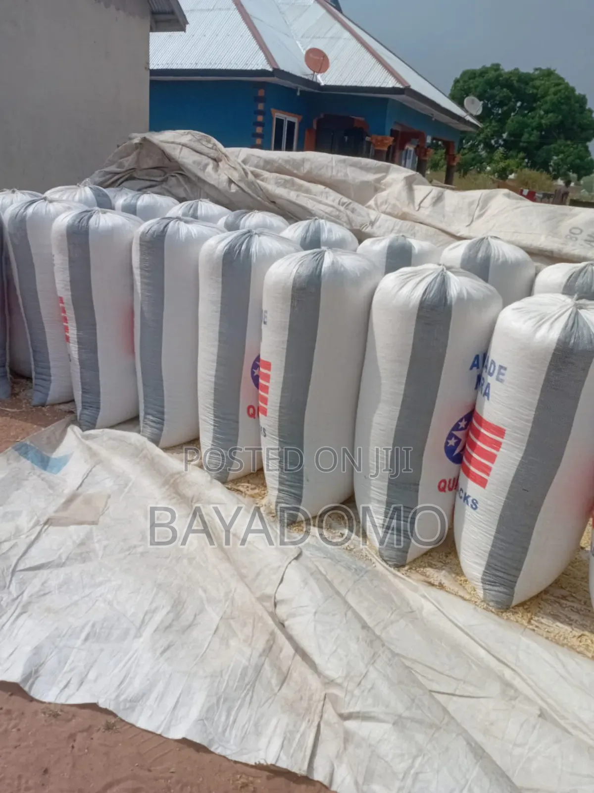 White Maize Bags
