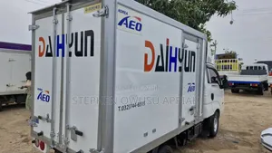Hyundai 1 Ton Container Box