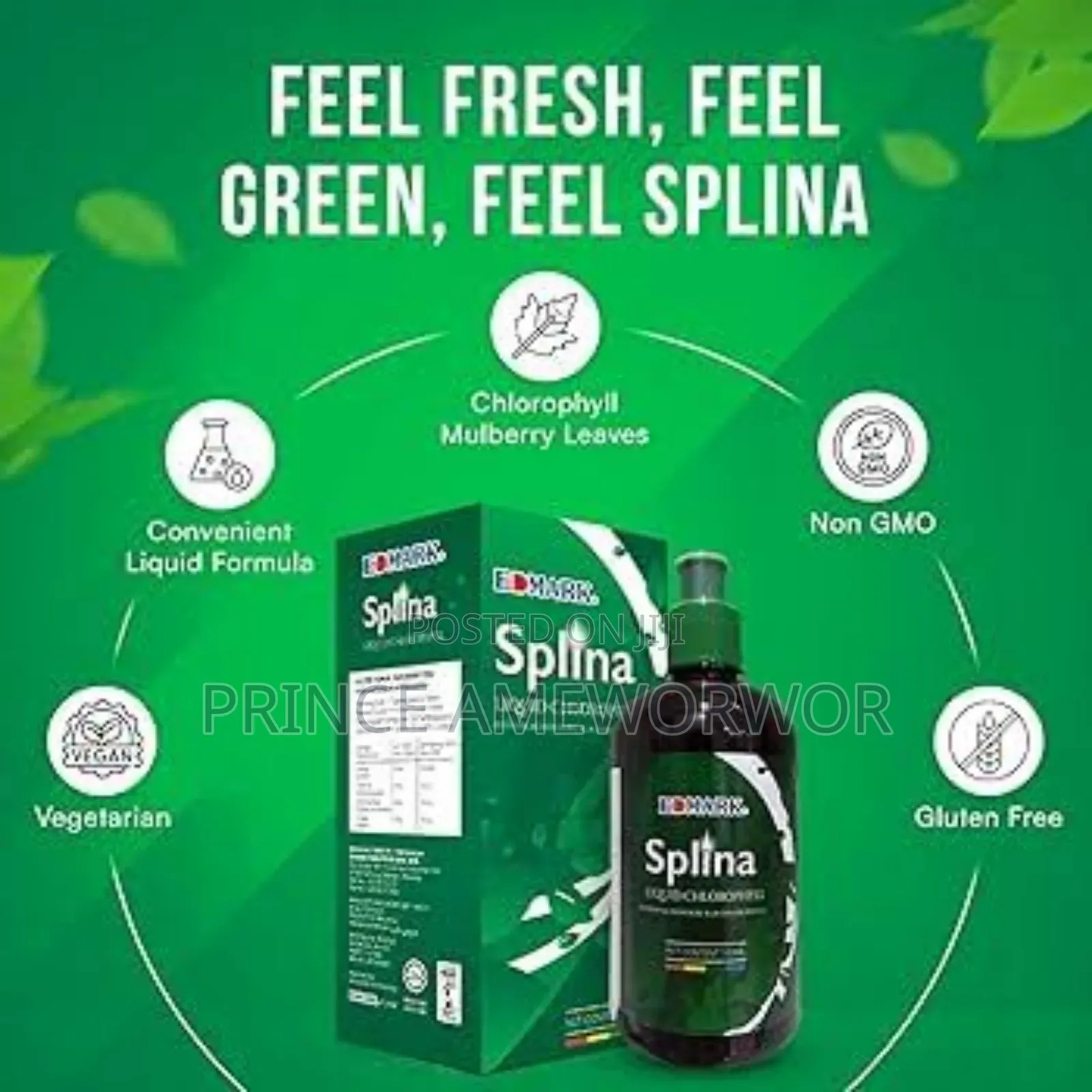 Edmark Splina Liquid Chlorophyll 500ml | Blood Cleanser Body Detox