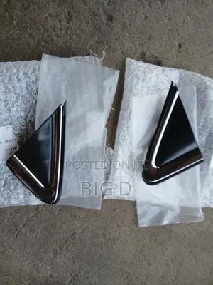 Nissan Sentra 2012 Mirror Pad