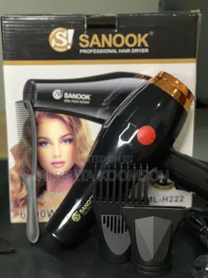 Salon Hand Dryer