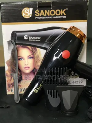 Salon Hand Dryer