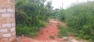 Registered and Titled Land 4 Sale