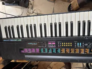 Casio Keyboard for Beginners