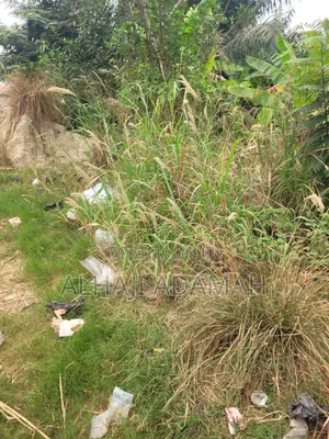 One Acres Land for Sale at Ahemakokoben Abuabuta