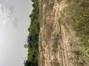 Ayoko on Aboantem Aputuogya Road