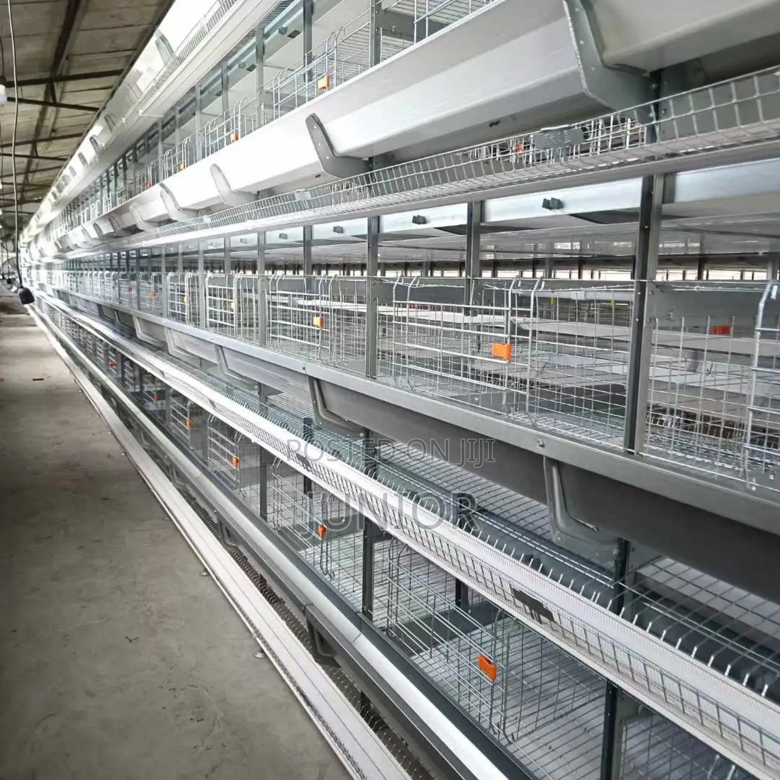 Fully Automatic Cage Systems