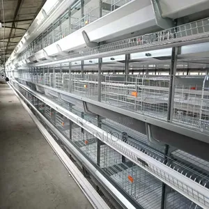 Fully Automatic Cage Systems