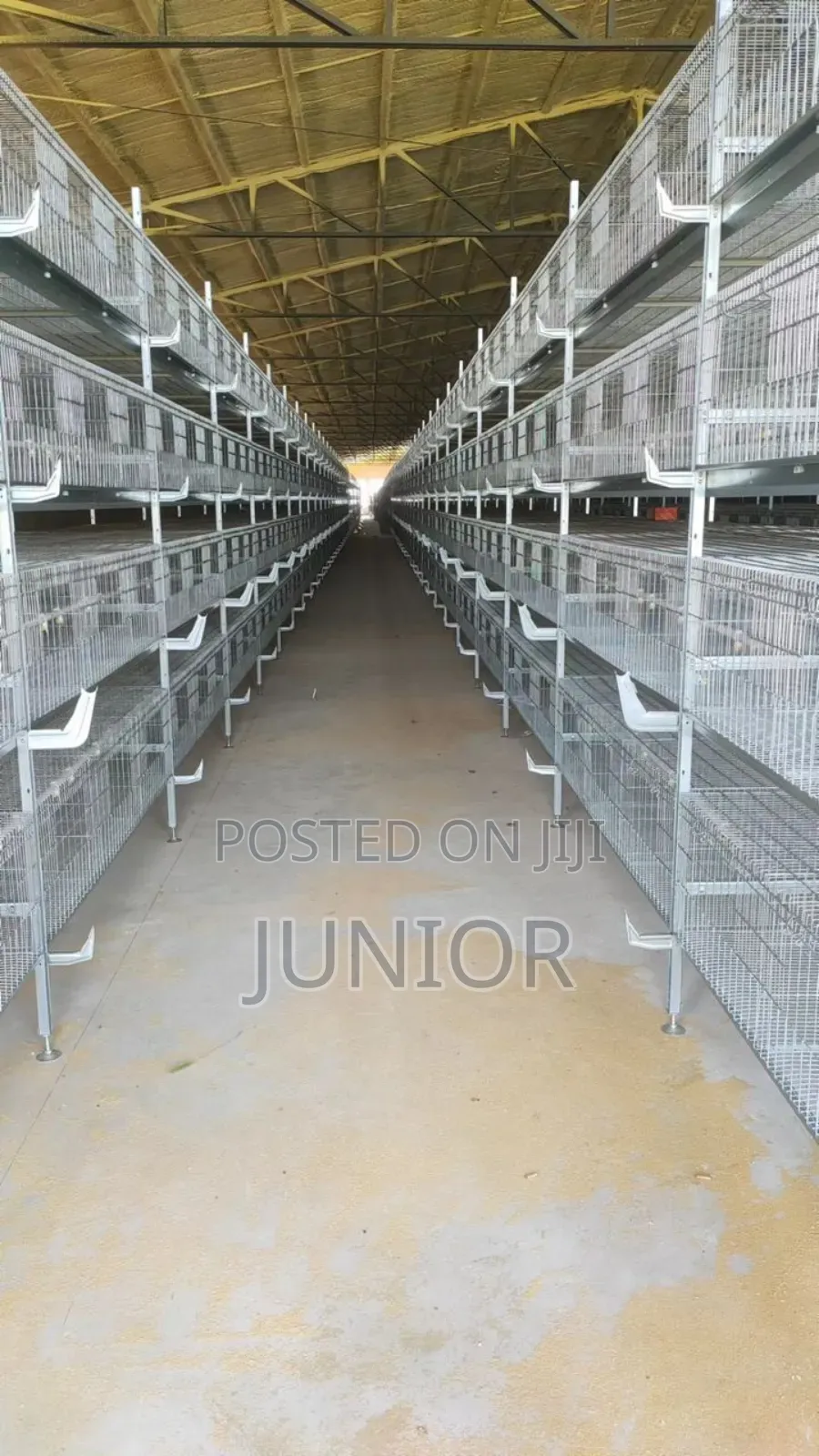 Fully Automatic Cage Systems