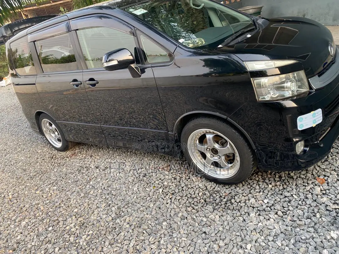 Car Rentals