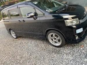 Car Rentals