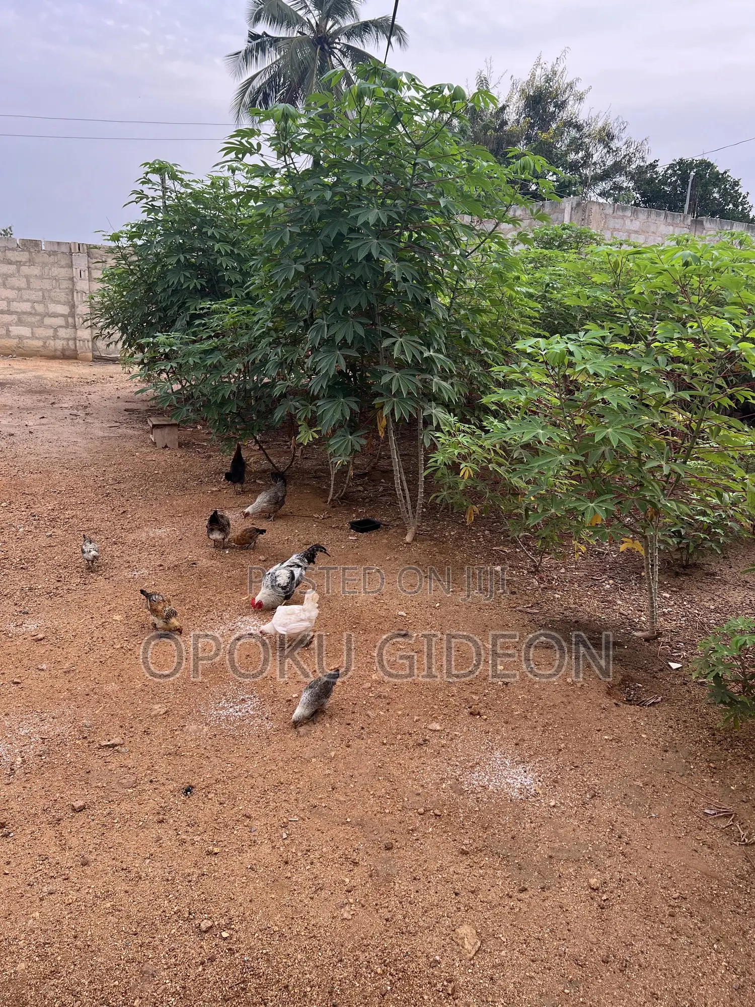 1 Plot of Land for Sale at Ablekuma Manhean