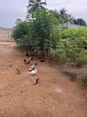 1 Plot of Land for Sale at Ablekuma Manhean