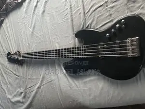 Fender Bass Guitar