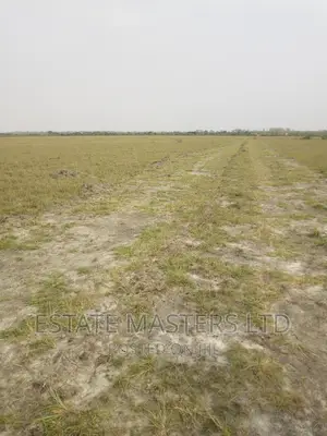 Amazing Serviced Plots