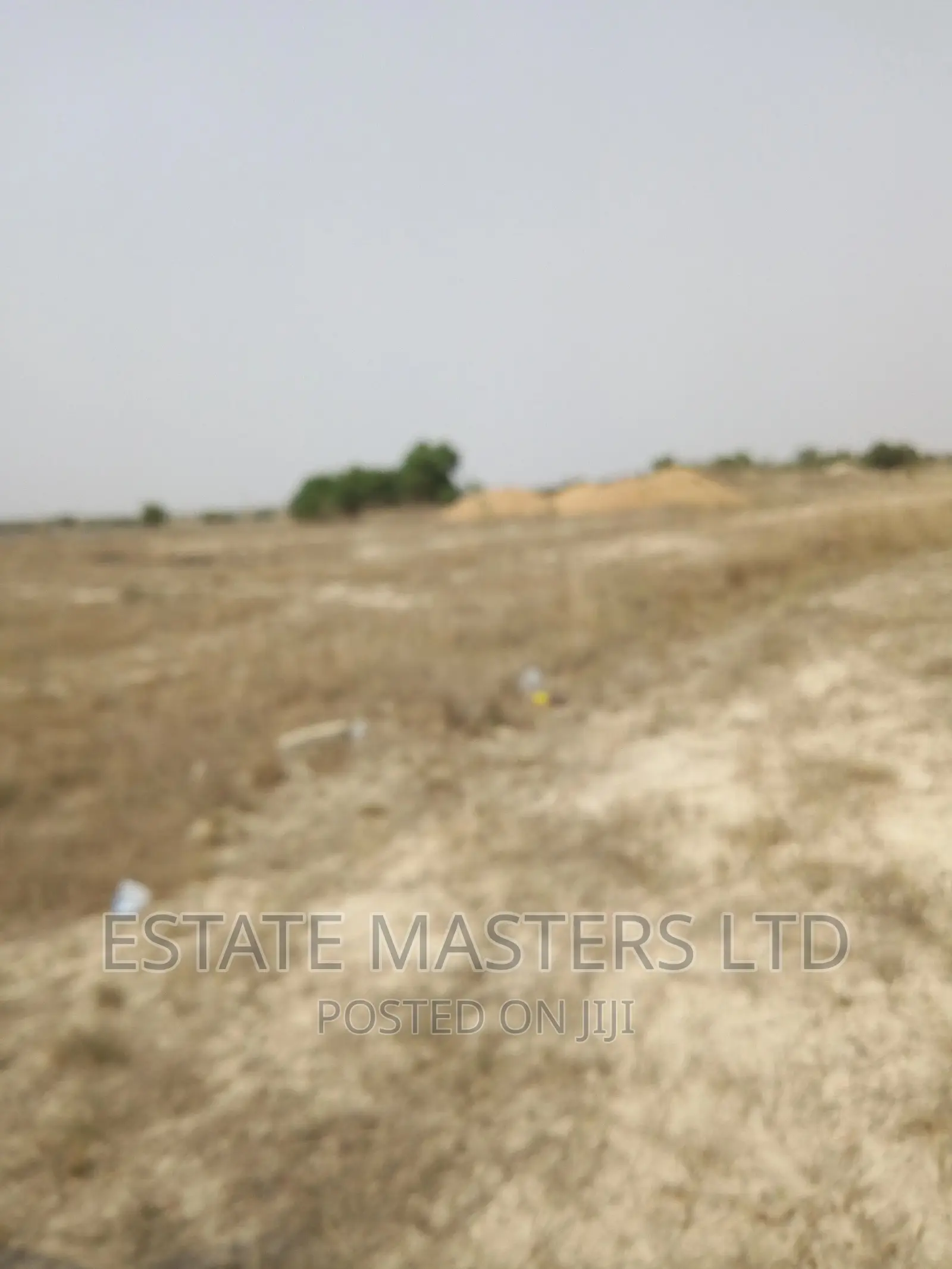 Amazing Serviced Plots