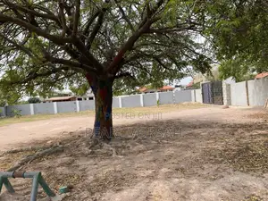 School for Sale