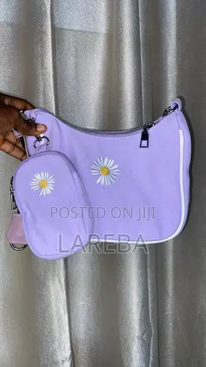 Bag With Purse
