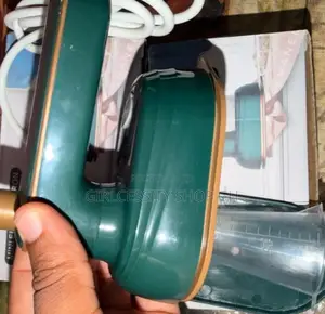 Mini Steam Iron