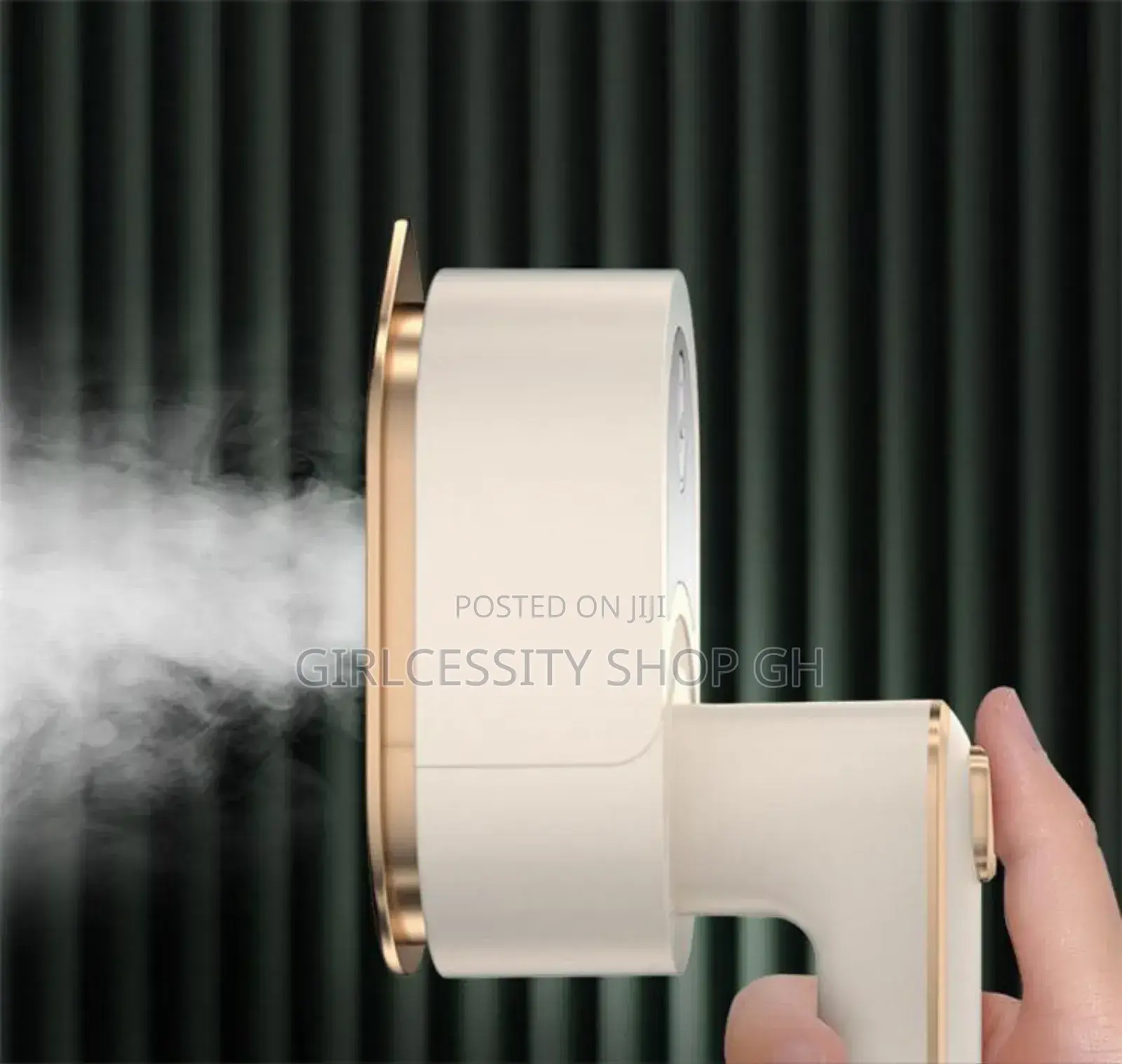 Mini Steam Iron