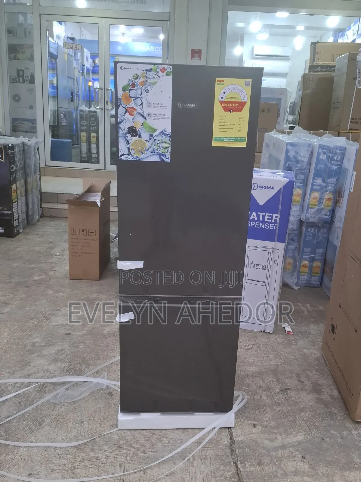 Sigma Bottom Freezer 163 Litres With Double Door Fridge for Sale