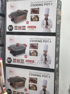 Electric Cooking Pot 10l