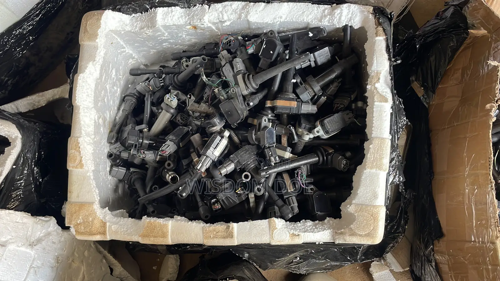 Plug Coils