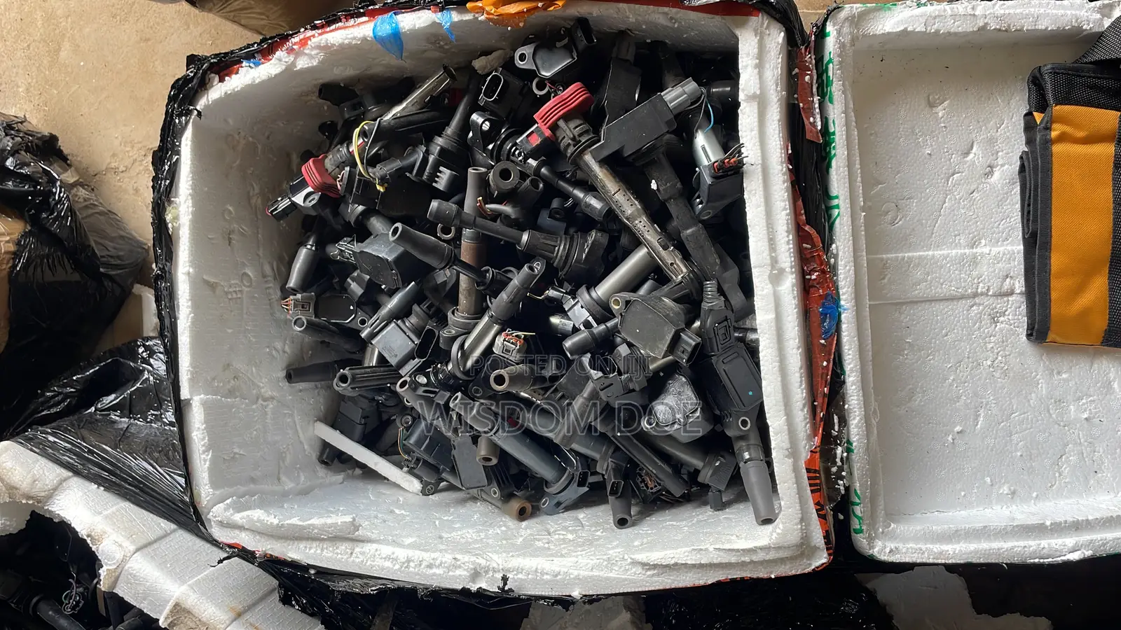 Plug Coils