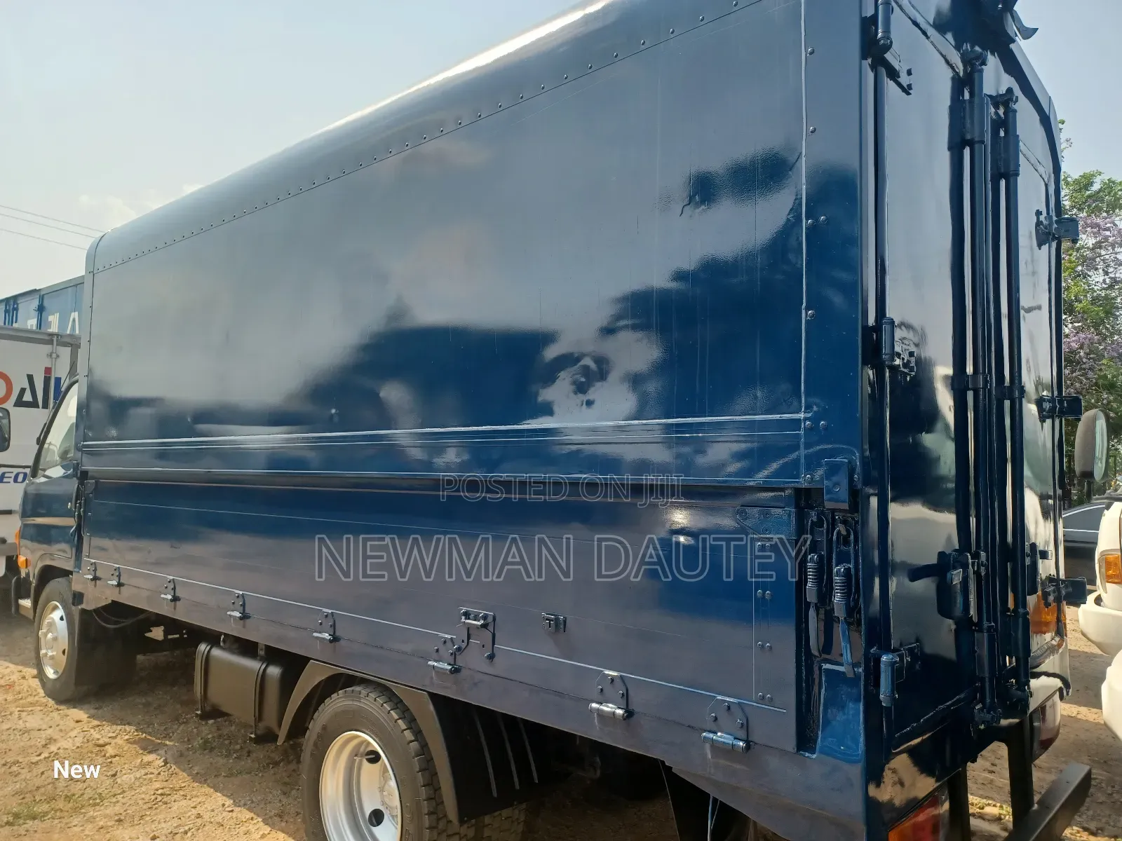 Hyundai Mighty Blue Wings Body