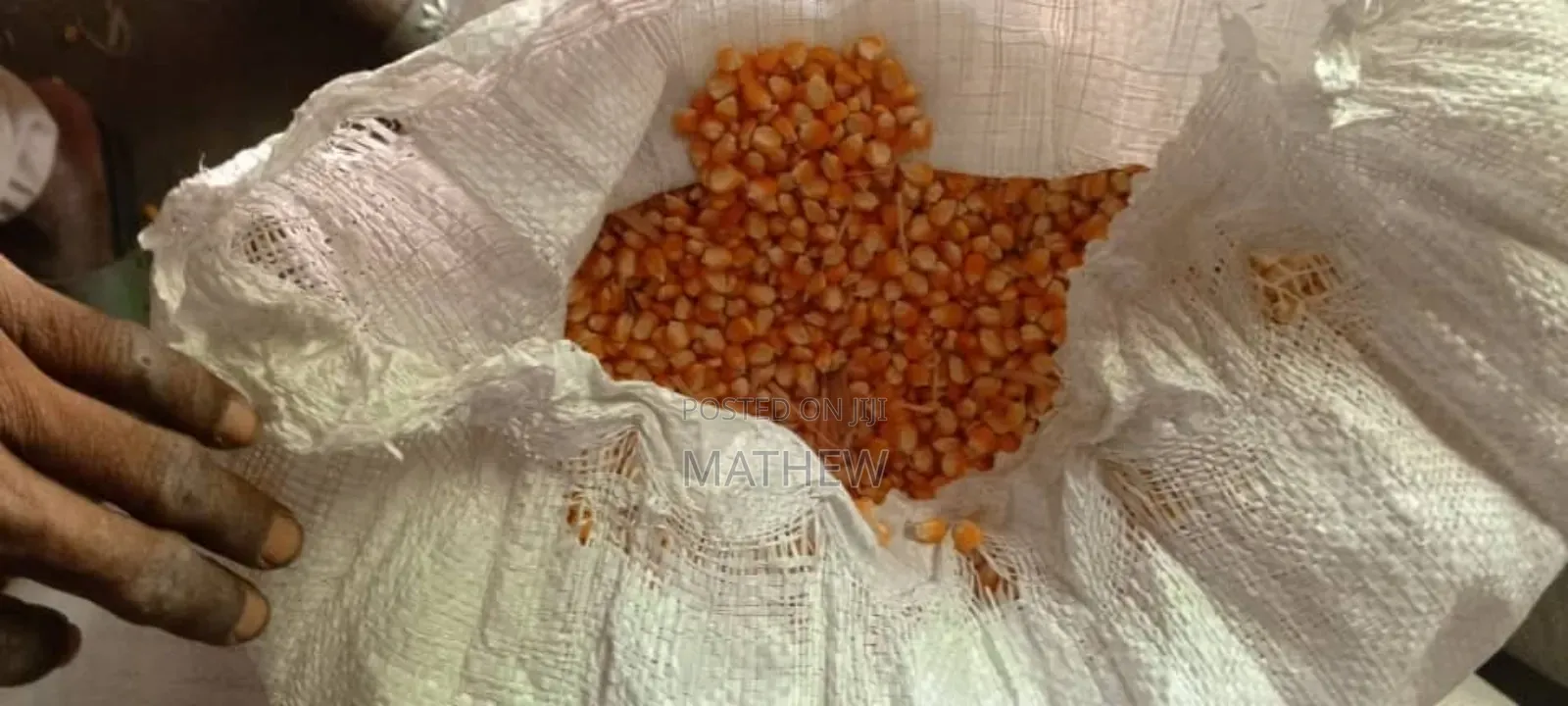 Maize Available in Accra
