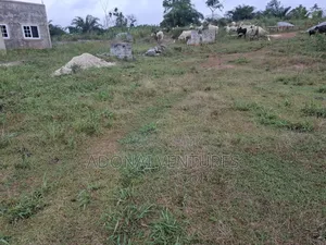 One Full Plot of Land for Sale in Sokoban Konkorl