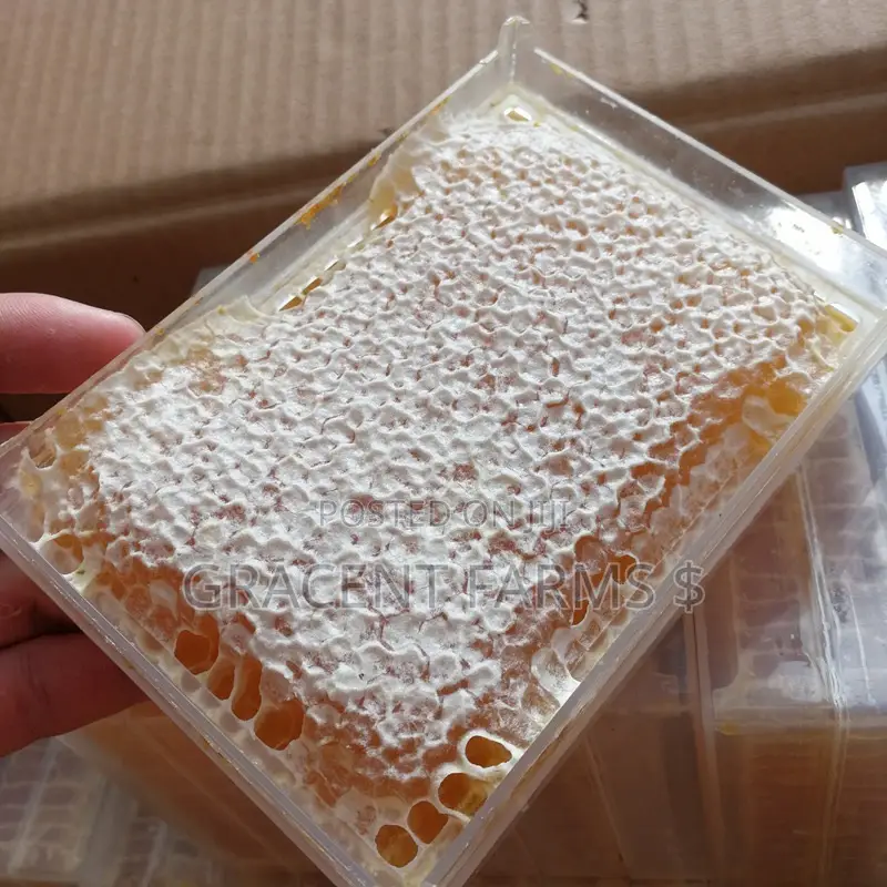 Vitex Flower Fresh Whole Honeycomb Honey - (500g)