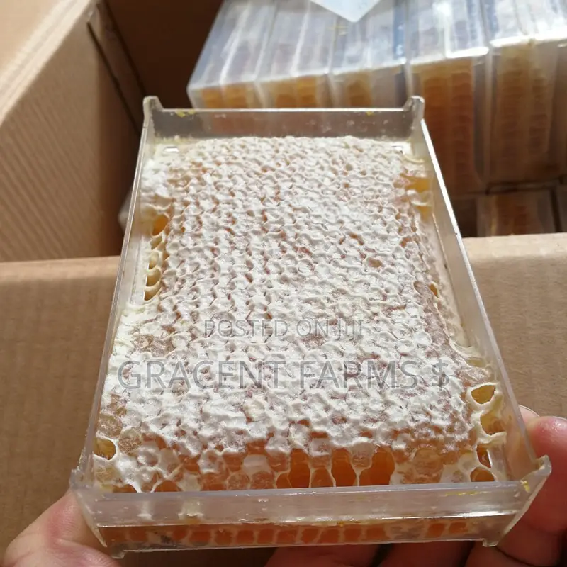 Vitex Flower Fresh Whole Honeycomb Honey - (500g)