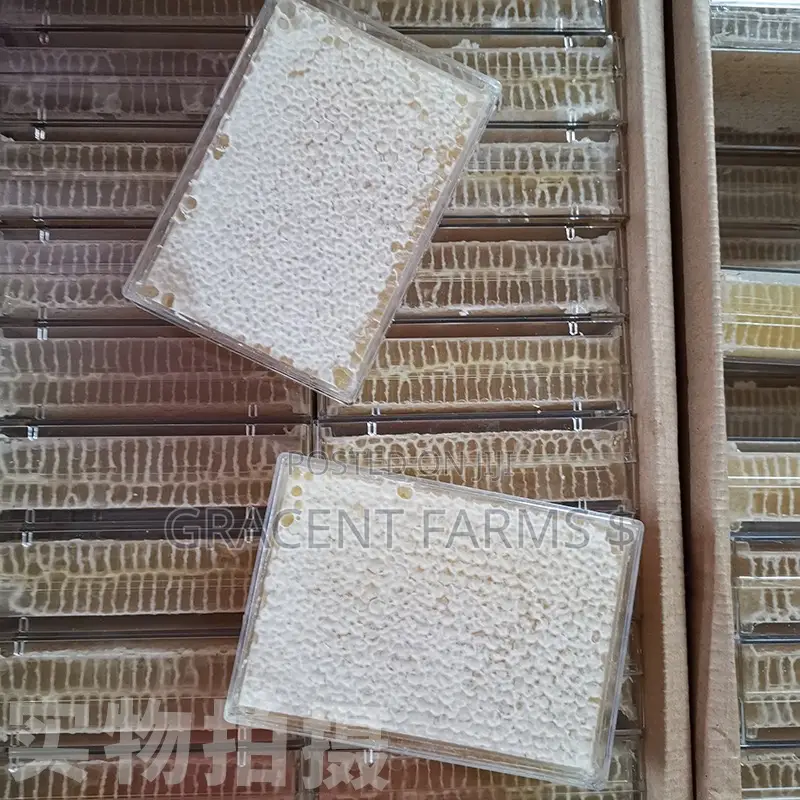 Vitex Flower Fresh Whole Honeycomb Honey - (500g)