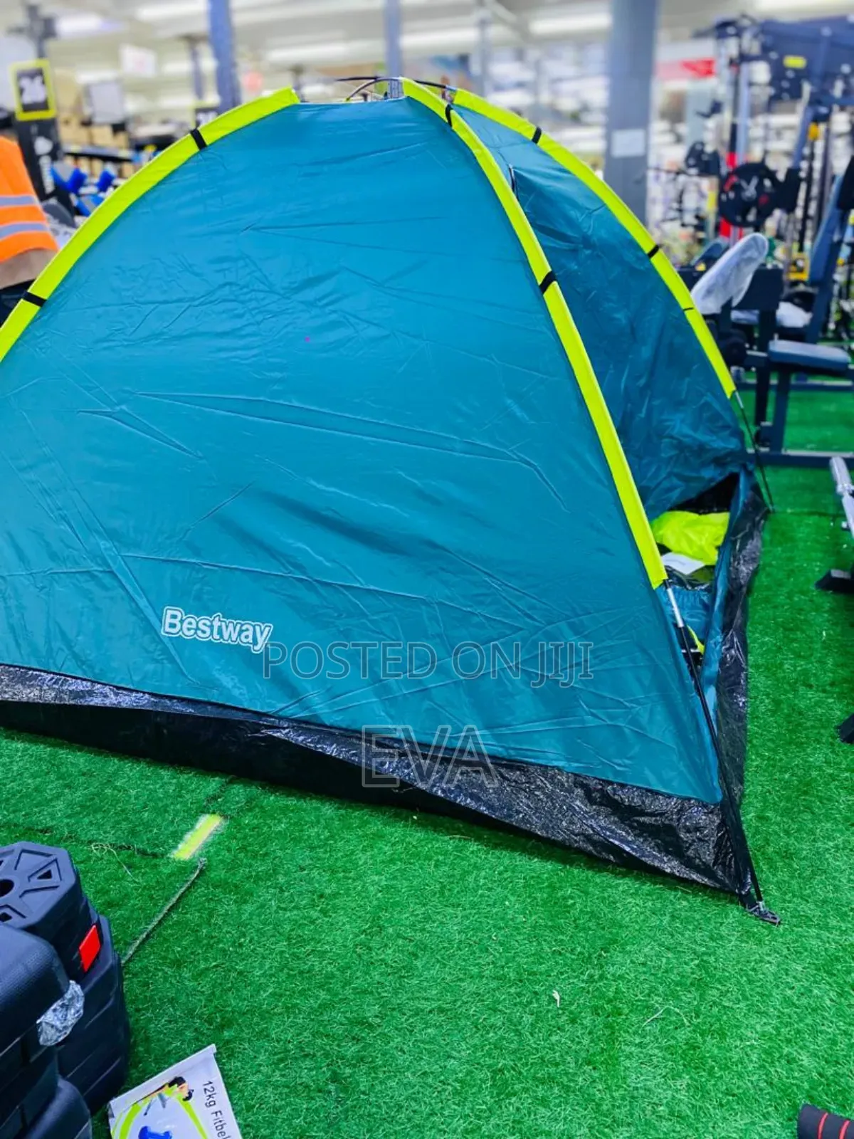 Picnic And Camping Tent