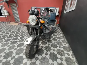 New Tricycle 2023 Gray