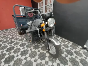 New Tricycle 2023 Gray