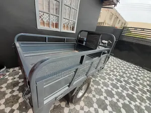 New Tricycle 2023 Gray