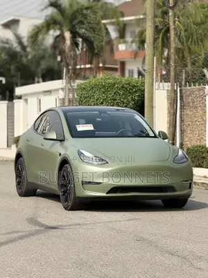 Tesla Model Y 75D kWh Long Range AWD 2022 Green
