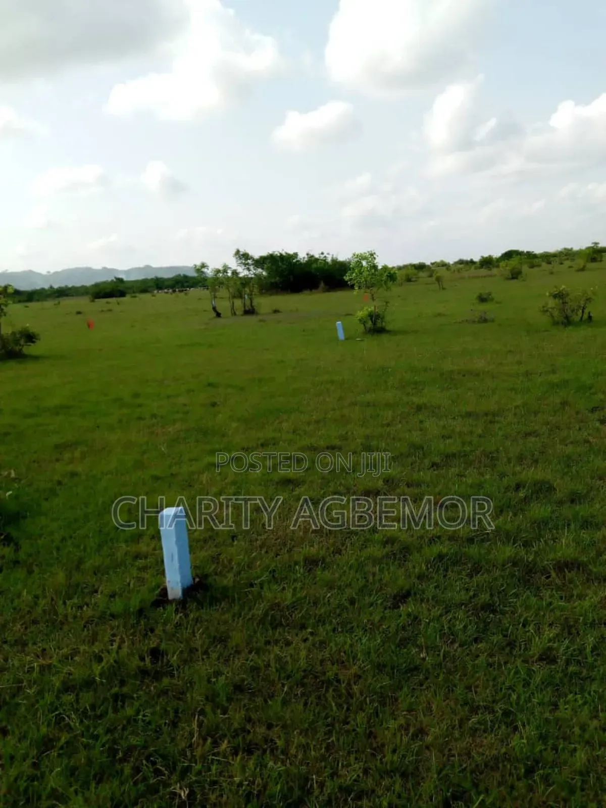Buildings and Land