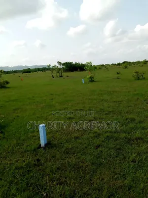 Buildings and Land