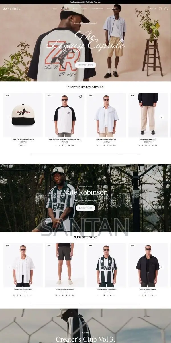 Professional Website Developer Designer – Business, E-commerce