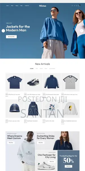 Professional Website Developer Designer – Business, E-commerce