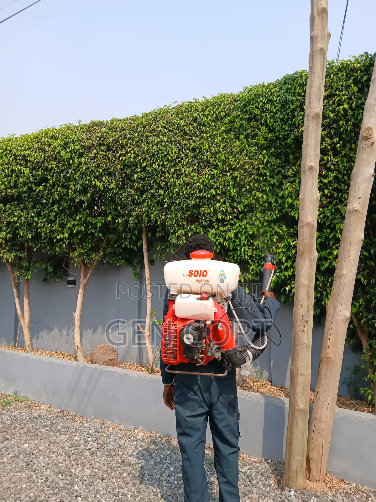 Routine Fumigation