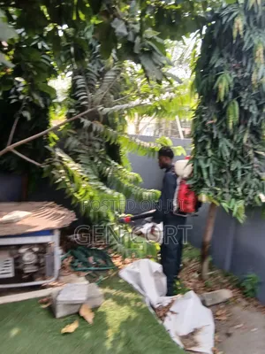 All Time Fumigation