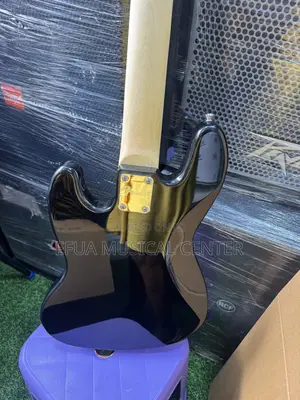 Passive Bass Guitar