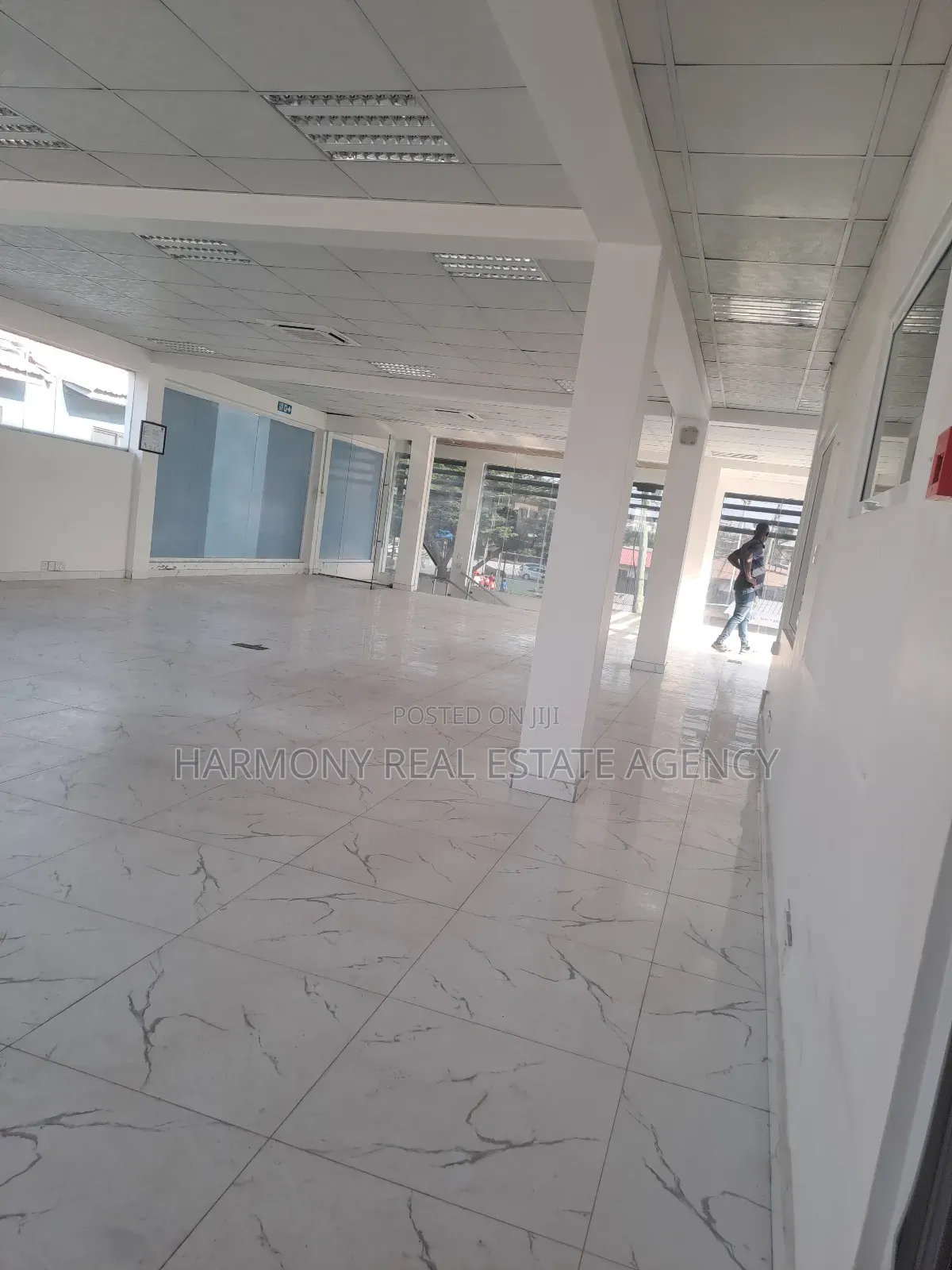 Office Complex for Rent-Dzorwulu