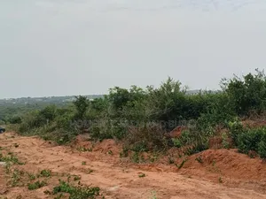 8 Plots of Flat Land With Beautiful Sea View for Sale
