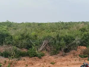 8 Plots of Flat Land With Beautiful Sea View for Sale