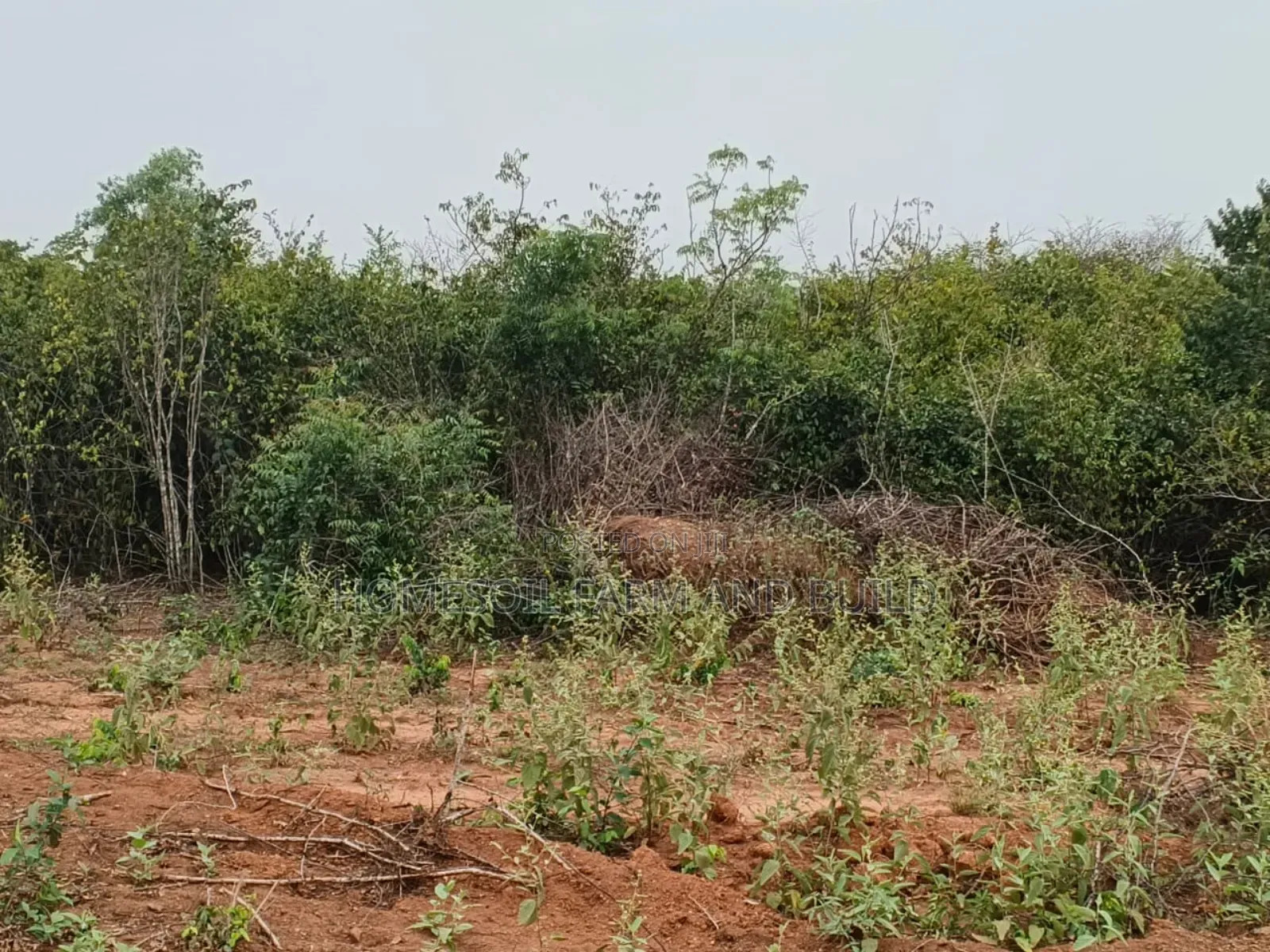 8 Plots of Flat Land With Beautiful Sea View for Sale